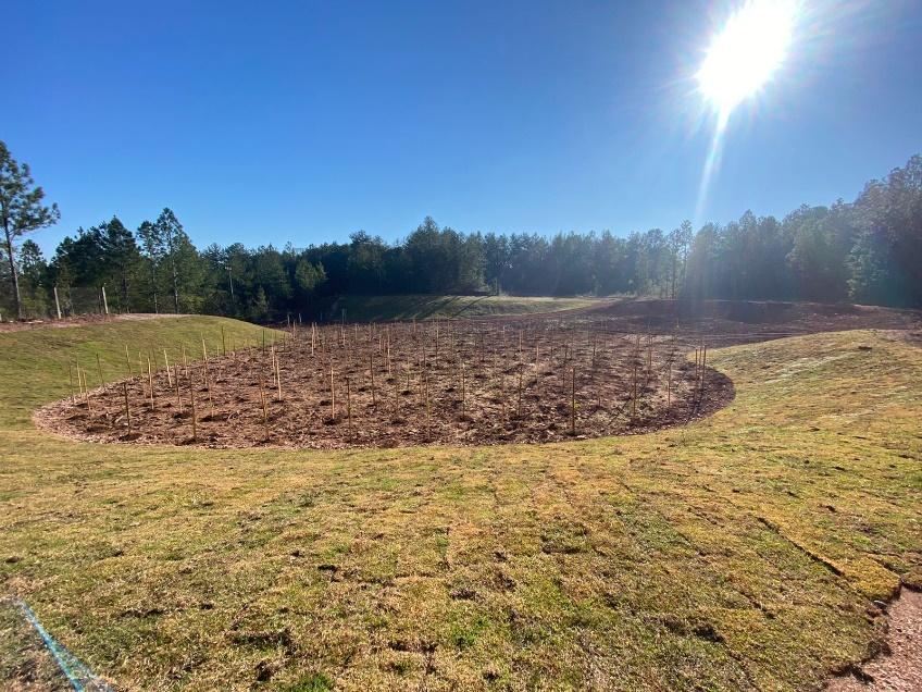 Galeria de Execução do Plano de Recuperação de Área Degradada (PRAD) de Jazida de Saibro