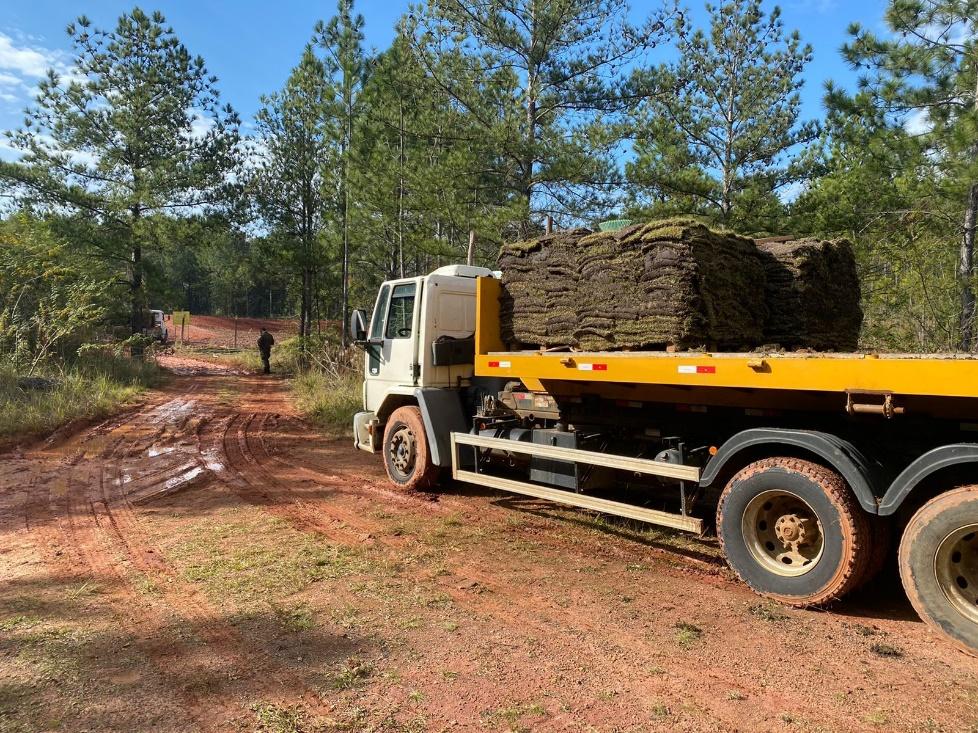 Galeria de Execução do Plano de Recuperação de Área Degradada (PRAD) de Jazida de Saibro